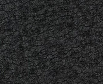 Крокодил чёрная